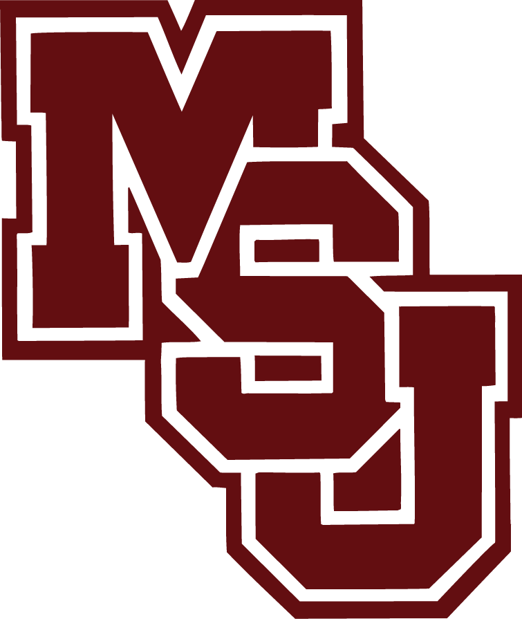 Mississippi State Bulldogs 1986-1995 Primary Logo DIY iron on transfer (heat transfer)
